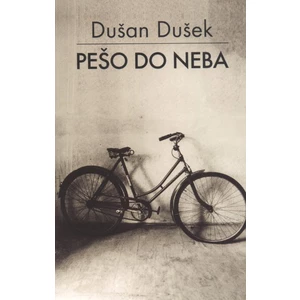 Pešo do neba - Dušek Dušan [E-kniha]