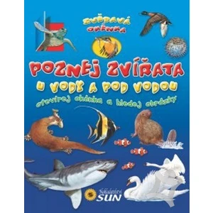 Poznej zvířata u vody a pod vodou - Zvědavá okénka