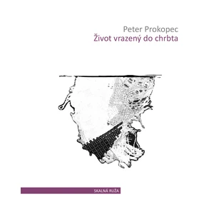 Život vrazený do chrbta - Peter Prokopec