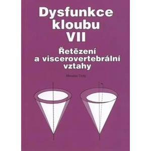 Dysfunkce kloubu VII. - Tichý Miroslav