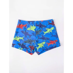 Yoclub Kids's Boy's Swimming Shorts LKS-0055C-A100