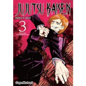 Jujutsu Kaisen Prokleté války 3 - Akutami Gege