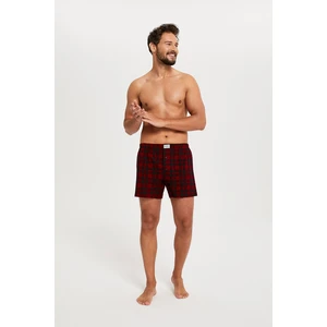 Men's boxer shorts Zeman - print