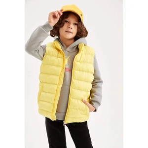 DEFACTO Boy Water Repellent Stand Collar Inflatable Vest