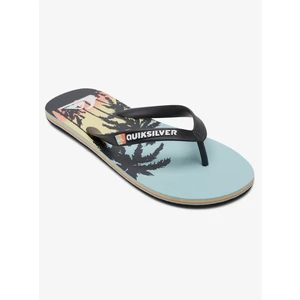 Men's flip flops Quiksilver MOLOKAI ART