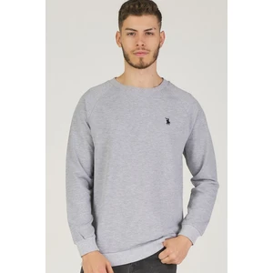 V4003 DEWBERRY REGLAN ARM MEN'S SWEATSHIRT-GRAY