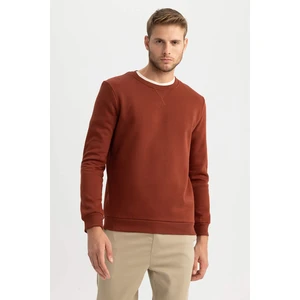 DEFACTO Regular Fit Sweatshirt