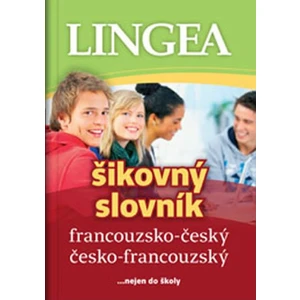 Šikovný slovník francouzsko-český