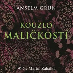 Kouzlo maličkostí - Anselm Grün - audiokniha