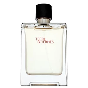 Hermes Terre D´ Hermes - EDT 100 ml