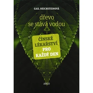 Dřevo se stává vodou - Gail Reichsteinová