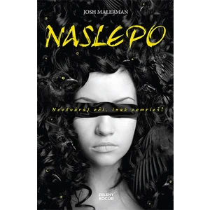 Naslepo - Malerman Josh [E-kniha]