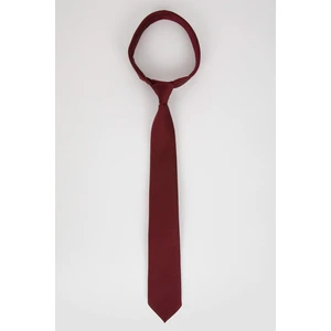 DEFACTO Men Tie