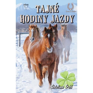 Tajné hodiny jazdy - Christiane Gohlová