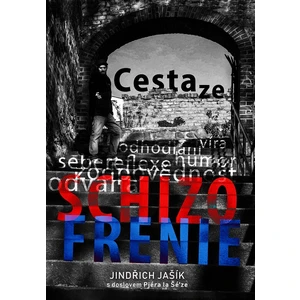 Cesta ze schizofrenie - Jašík Jindřich