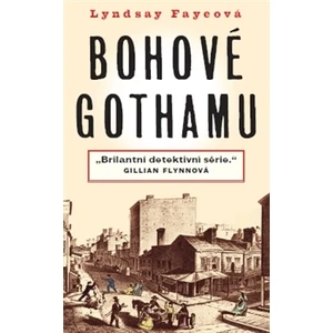 Bohové Gothamu - Fayeová Lyndsay