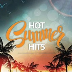 HOT SUMMER HITS 2018 - 2018 Hot Summer Hits [CD album]