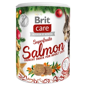 Brit Care Snack Superfruits Christmas dóza 100g