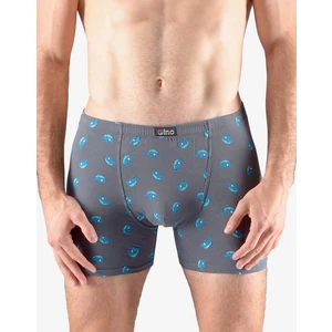 Men's boxers Gino gray