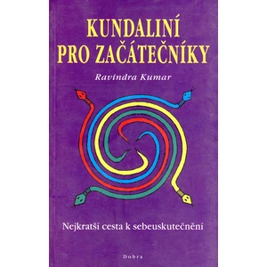 Kundaliní pro začátečníky - Kumar Ravindra