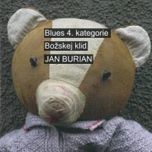 Blues 4. kategorie / Božskej klid - Burian Jan [CD album]