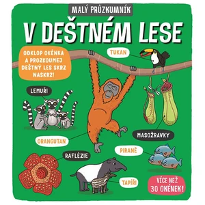 Malý průzkumník V deštném lese