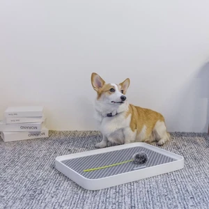 Petkit Pura Dog záchod pro psy