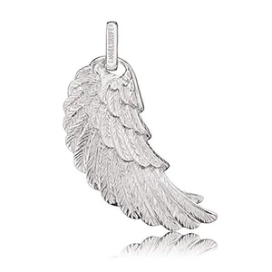 Engelsrufer Stříbrný přívěsek Andělské křídlo ERW 4,5 cm