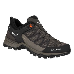 Salewa Mtn trainer lite GTX EU 40 ½, Wallnut/Fluo Coral Dámské boty