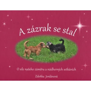 A zázrak se stal - Zdeňka Jordánová