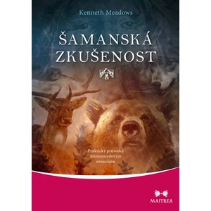 Šamanská zkušenost - Kenneth Meadows