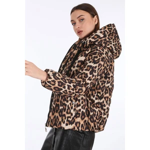 Bigdart 5125 Leopard Brown Printed Down Jacket