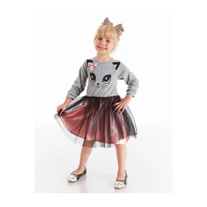 Dievčenské šaty Denokids CFF-20S1-019/Grey, Pink, Black