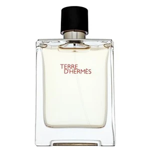 HERMÈS Terre d’Hermès toaletná voda pre mužov 100 ml