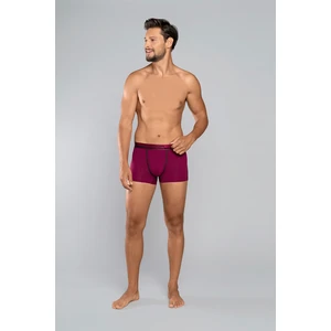 Umberto Boxer Shorts - Wine