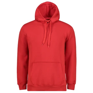 Men's hooded sweatshirt Aliatic