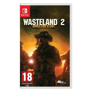 Wasteland 2 (Director’s Cut)