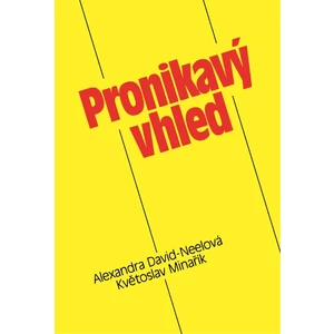 Pronikavý vhled - Květoslav Minařík - e-kniha