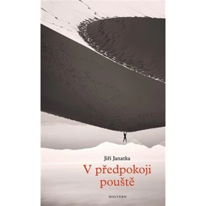 V předpokoji pouště - Jiří Janatka