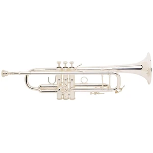 Vincent Bach LR180S-43G Stradivarius Bb trombita