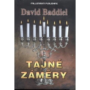 Tajné záměry - David Baddiel