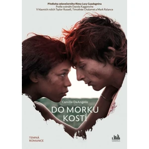 Do morku kostí - Camille DeAngelisová