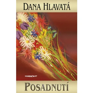 Posadnutí - Dana Hlavatá