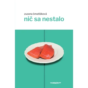 Nič sa nestalo - Zuzana Šmatláková