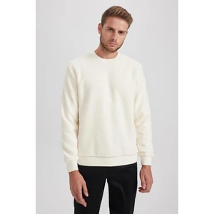 DEFACTO Regular Fit Long Sleeve Sweatshirt