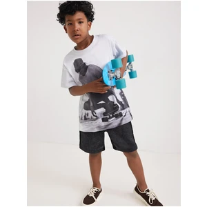 Grey-white boys' T-shirt with print Desigual Mango - Boys