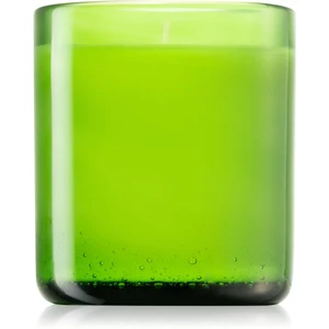 Designers Guild Glasshouse Glass vonná svíčka 220 g