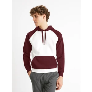 Celio Sweatshirt Raglan Ceblocos - Men