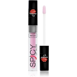 Wibo Lip Gloss Spicy lesk na pery pre väčší objem 19 3 ml