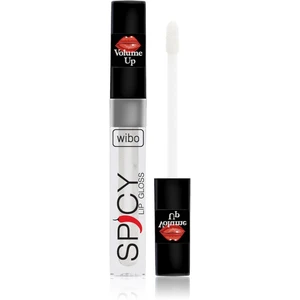 Wibo Lip Gloss Spicy lesk na pery pre väčší objem 21 3 ml